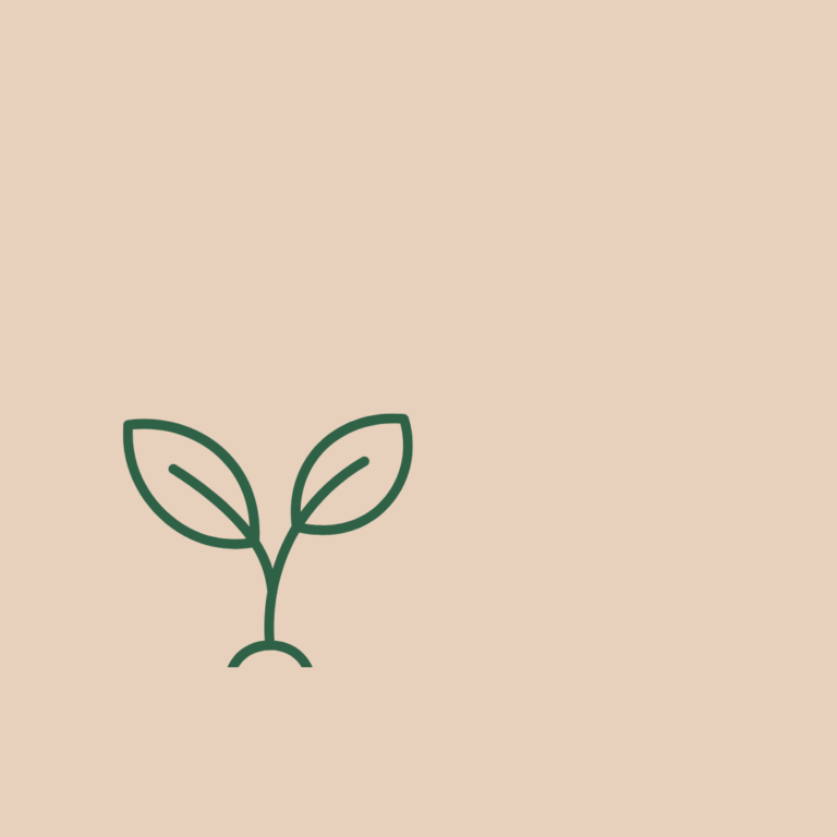 minimal seedling icon on warm sand background representing organic SEO growth